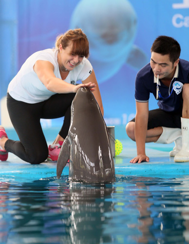 到荷兰主场 到荷兰主场